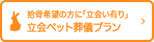 立ち会い葬儀プラン