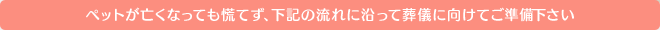 ペットが亡くなっても慌てず、下記の流れに沿って葬儀に向けてご準備下さい