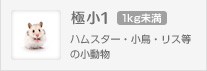 ハムスター、小鳥、リス等の小動物