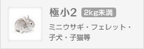 ミニウサギ、フェレット、子犬、子猫等