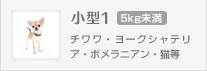 チワワ、ヨークシャテリア、ポメラニアン、猫等