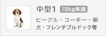 ビーグル、コーギー、柴犬、シェルティー等