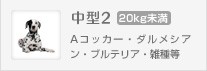 Aコッカー、ダルメシアン、ブルテリア、雑種等