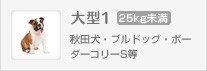 秋田犬、ブルドッグ、ボーダーコリーS等