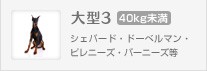 シェパード、ドーベルマン、ピレニーズｍバーニーズ等